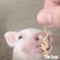 Ramen