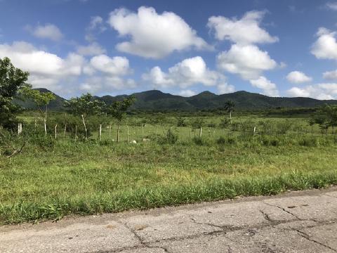 Green Cuban pasture with fence posts and palms stretching toward forested hills under puffy clouds