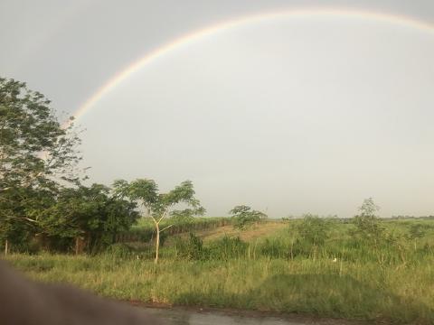 Rainbow arcing over green fields and scattered trees under a gray sky in the Cuban countryside