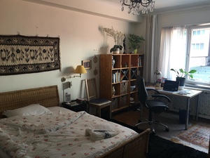 Apartment bedroom in Belgium with a wicker bed, wall tapestry, bookshelf, and a desk by a bright window