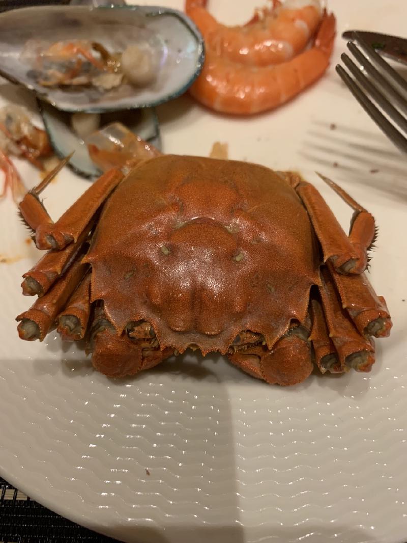 A whole cooked crab on a white plate with prawns and a mussel shell behind it, Chengdu, China
