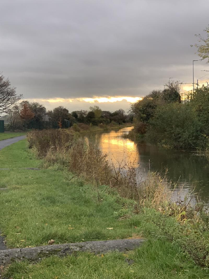 Sunset light reflecting gold on a reedy canal in Ireland, grassy bank in front and dark clouds overhead