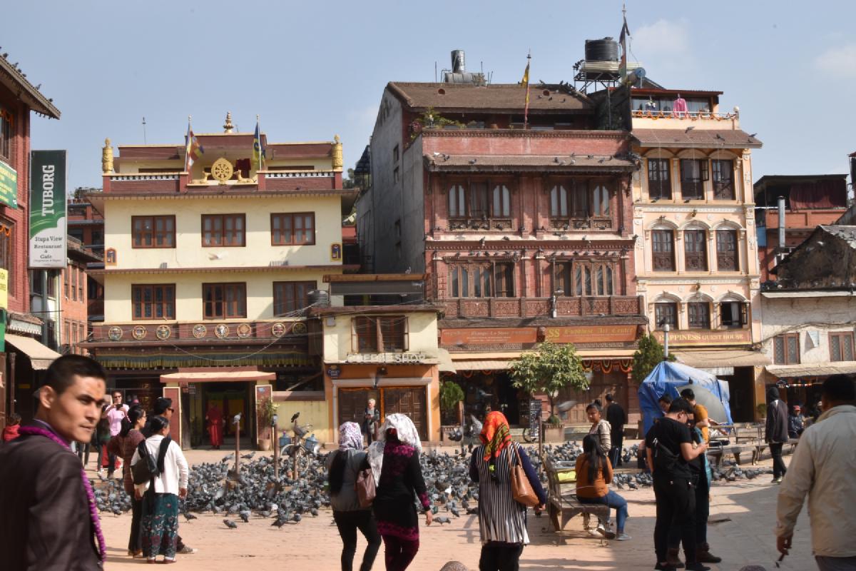 Sunny square at Boudha in Kathmandu, shoppers strolling past ornate brick guesthouses while pigeons carpet the pavement