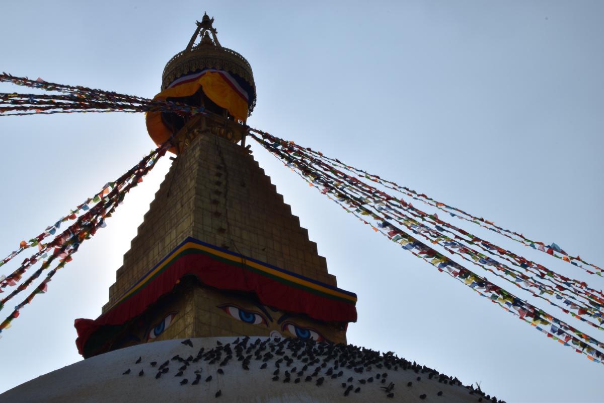 Looking up at Boudhanath Stupa&rsquo;s gilded spire and painted eyes, prayer flags radiating out and pigeons dotting the dome