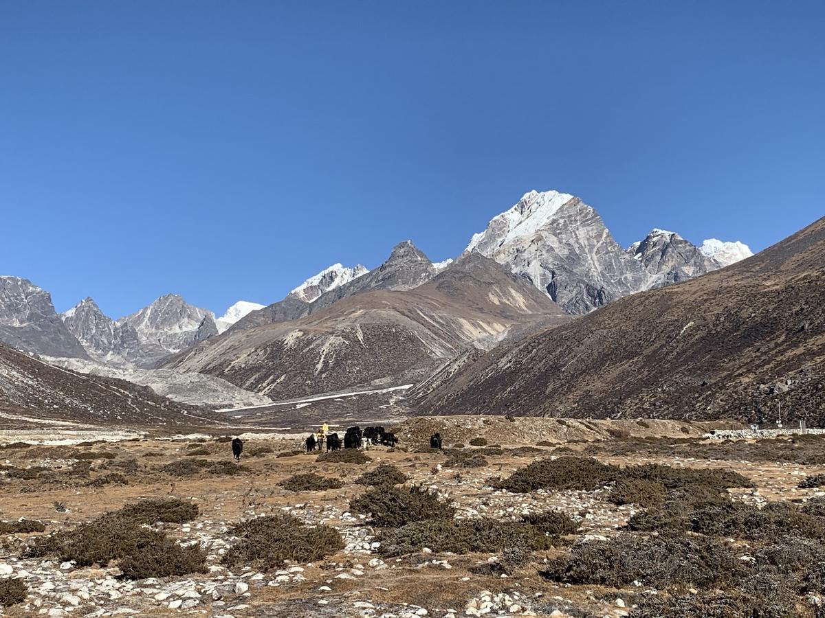 Wide scrub-covered valley in Nepal&rsquo;s Khumbu with a small yak train in the distance beneath snow-capped peaks