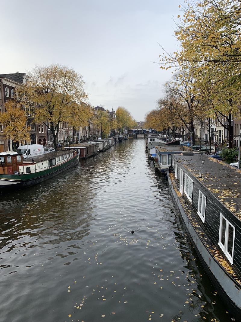 Amsterdam canal lined with houseboats and yellow autumn trees, fallen leaves floating on the still grey water