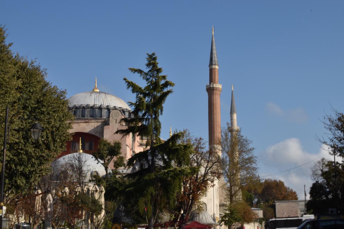 Dome and minarets of Hagia Sophia in Istanbul rise above green trees under a clear blue sky